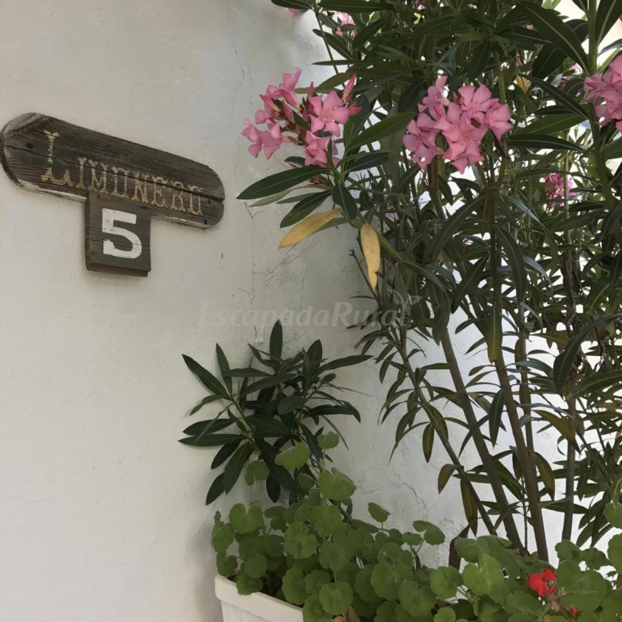 Finca La Vicacaria Limonero Zufre 외부 사진